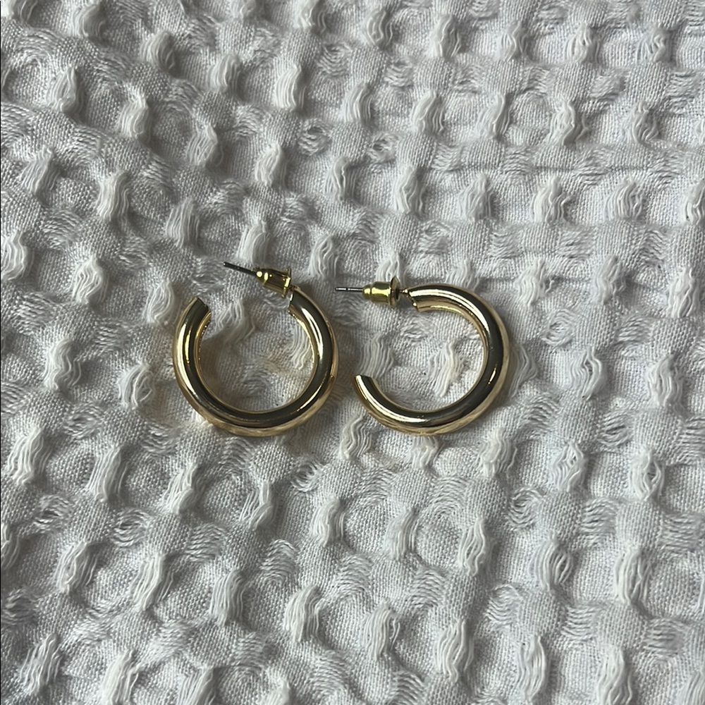 Elegant Gold Hoop Earrings
